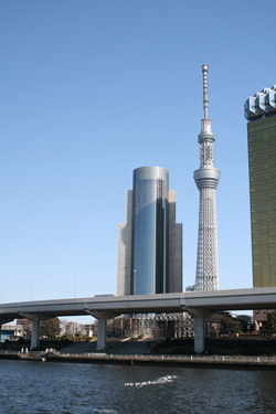 nc打i